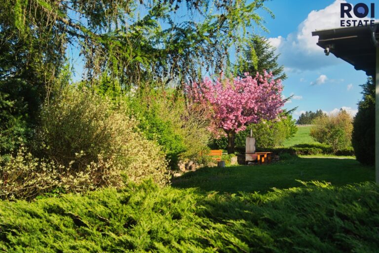 Chalupa s pozemkem 10 000m2 – ideální pro podnikání i bydlení