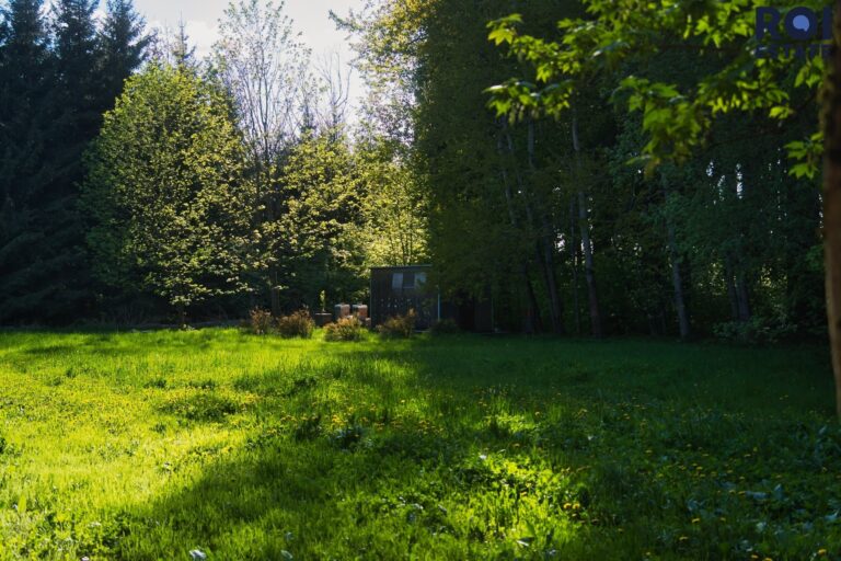 Chalupa s pozemkem 10 000m2 – ideální pro podnikání i bydlení