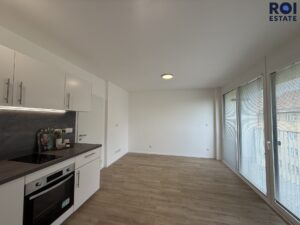 Pronájem bytu 1+kk 29 m², Brno – Auerswaldova