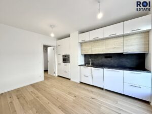 Pronájem bytu 1+kk 25 m², Brno – Zábrdovice se sklepem