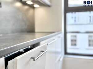 Pronájem bytu 1+kk 25 m², Brno – Zábrdovice se sklepem