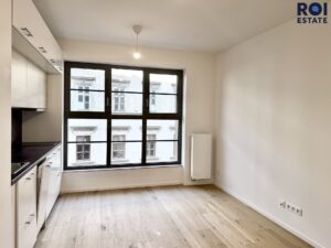 Pronájem bytu 1+kk 25 m², Brno – Zábrdovice se sklepem