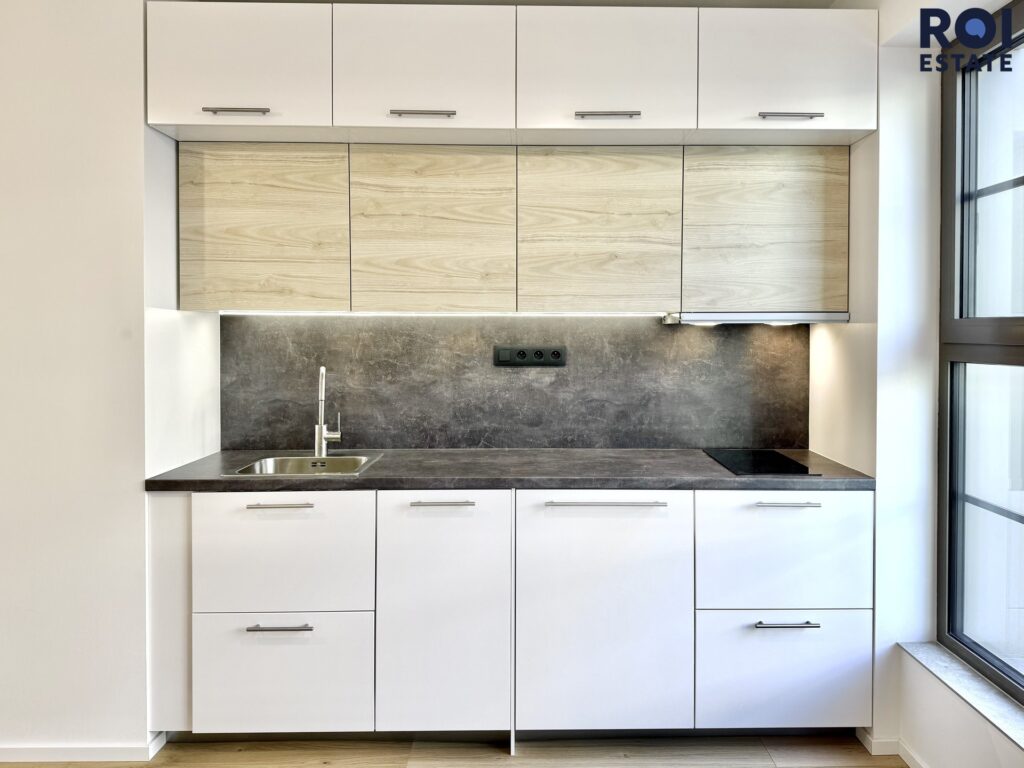 Pronájem bytu 1+kk 25 m², Brno – Zábrdovice se sklepem