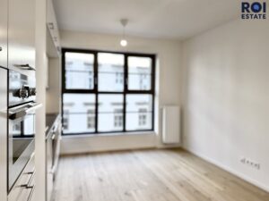 Pronájem bytu 1+kk 25 m², Brno – Zábrdovice se sklepem