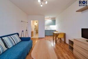Pronájem bytu 1+kk 27 m², sklep, Hlavatého, Praha – Háje