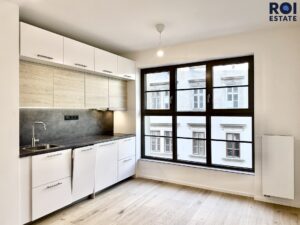 Pronájem bytu 1+kk 25 m², Brno – Zábrdovice se sklepem