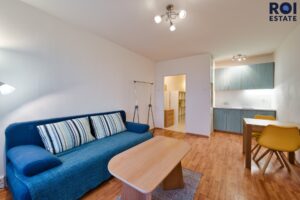 Pronájem bytu 1+kk 27 m², sklep, Hlavatého, Praha – Háje
