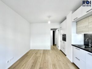Pronájem bytu 1+kk 25 m², Brno – Zábrdovice se sklepem