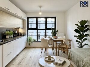 Pronájem bytu 1+kk 25 m², Brno – Zábrdovice se sklepem