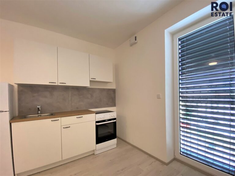 Pronájem bytu 1+kk, 20m², moderní byt v centru s přístupem na terasu, ul. Křenová, Brno – Trnitá