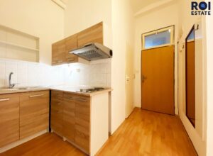 Byt 1+1, 33m², centrum Brna, Ul. Spolková