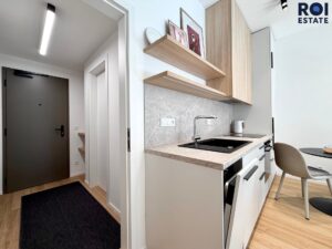 Pronájem krásného ateliéru 1+kk 33 m² + 2 m2 sklep + 16m2 teráska/zahrádka, Brno – Zábrdovice