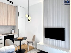 Pronájem krásného ateliéru 1+kk 33 m² + 2 m2 sklep + 16m2 teráska/zahrádka, Brno – Zábrdovice