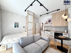 Pronájem krásného ateliéru 1+kk 33 m² + 2 m2 sklep + 16m2 teráska/zahrádka, Brno – Zábrdovice