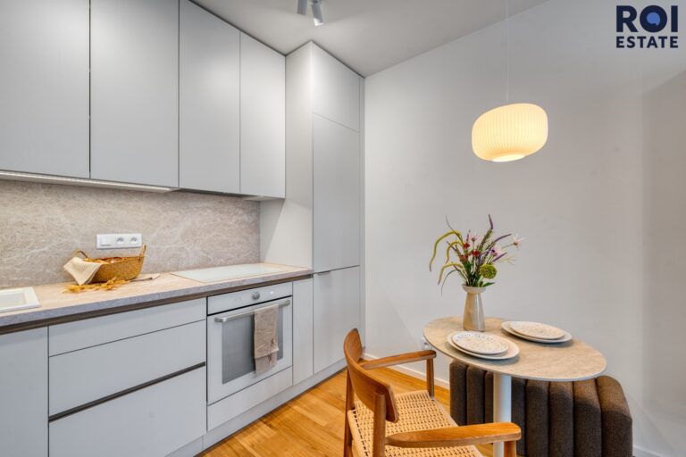Pronájem bytu 1+kk 39 m², Brno – Zábrdovice