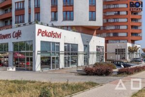 Luxusní výhled a bezstarostné bydlení v 2+kk na Lužinách