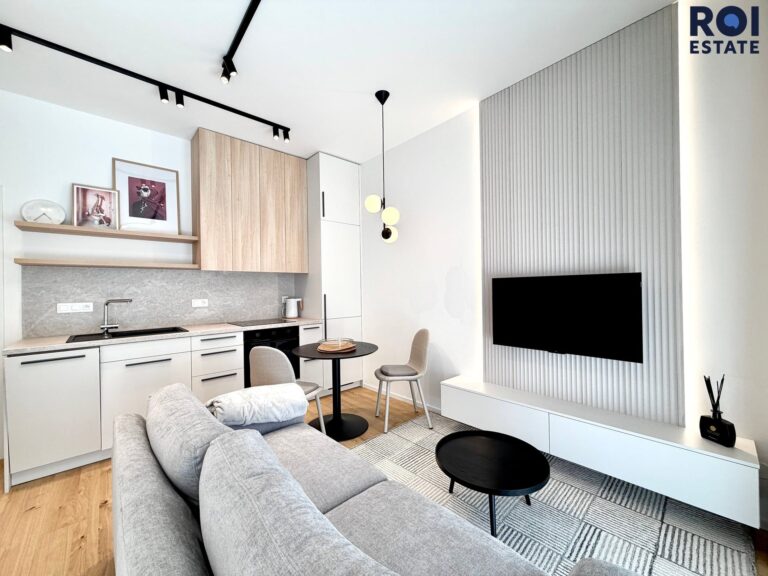 Pronájem kráného ateliéru 1+kk 33 m² + 2 m2 sklep + 16m2 teráska/zahrádka, Brno – Zábrdovice