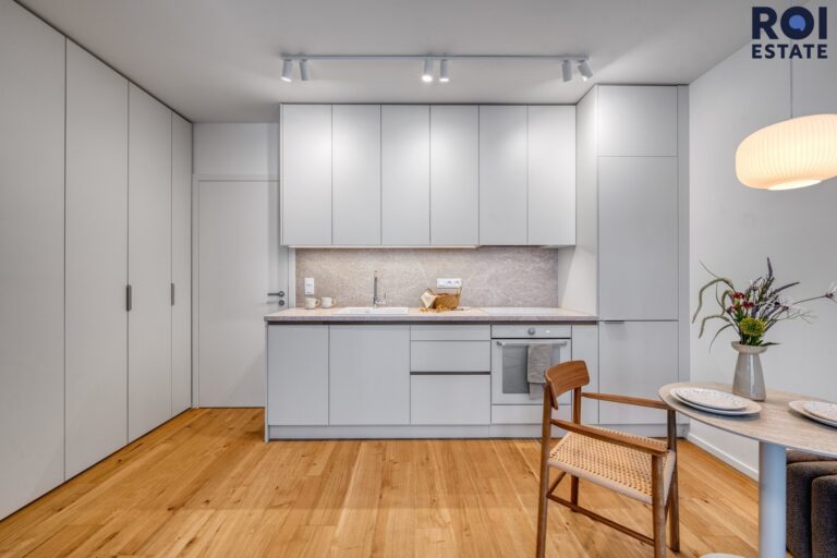 Pronájem bytu 1+kk 39 m², Brno – Zábrdovice