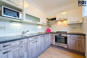 Pronájem prostorného bytu 3+kk 70 m², Vyškov – Dědice