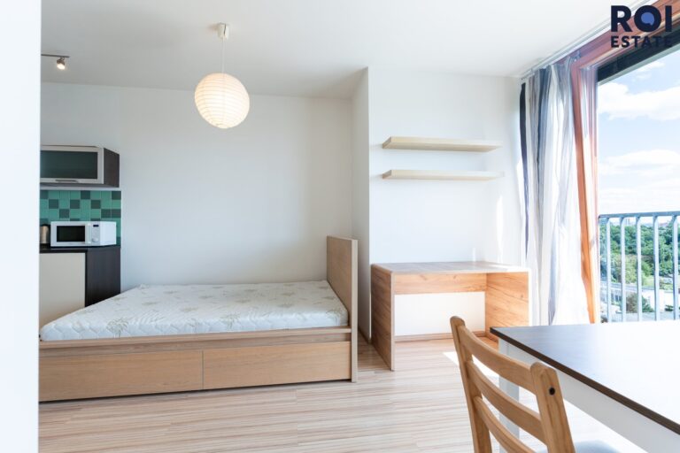 Pronájem bytu 1+kk 31 m², Praha – Žižkov