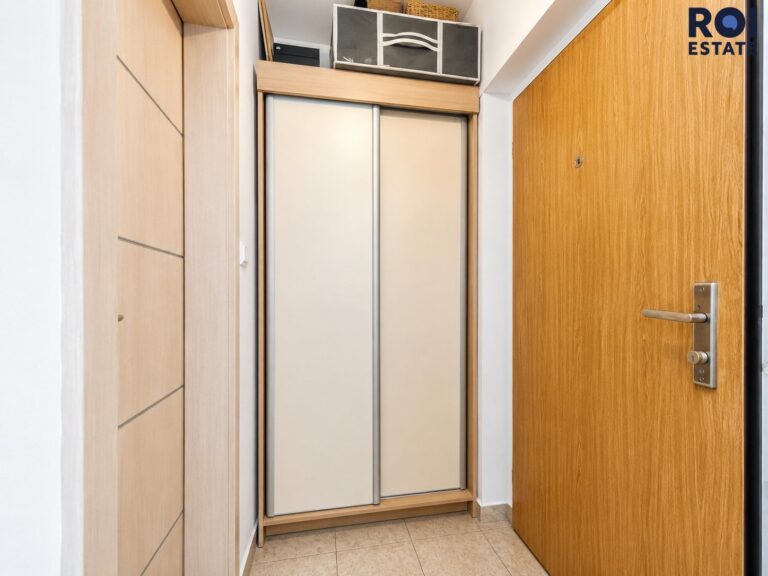 Pronájem bytu 1+kk 31 m², Praha – Žižkov
