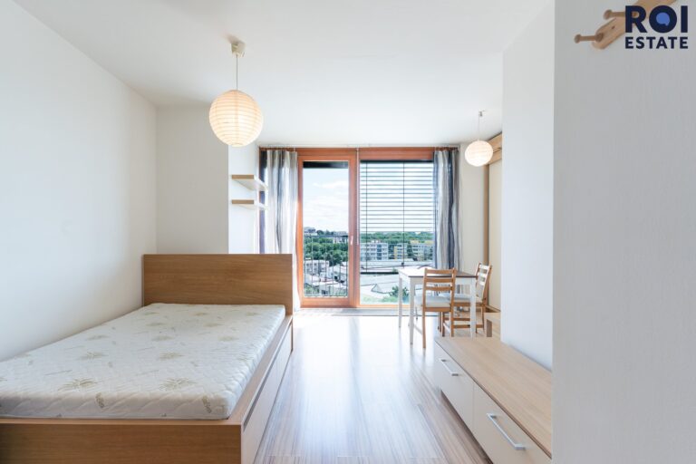 Pronájem bytu 1+kk 31 m², Praha – Žižkov