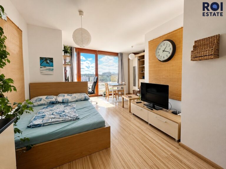 Pronájem bytu 1+kk 31 m², Praha – Žižkov