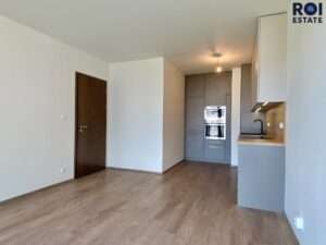 Pronájem, Byty 2+kk, s garážovým stáním a balkónem,  52m² – Praha – Hloubětín