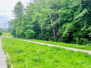 Pronájem krásné novostavby poblíž přírody, Byty 1+kk,  37 m² – Blansko