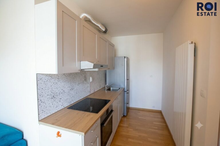 Pronájem byty 1+kk, 39 m² – Praha – Žižkov