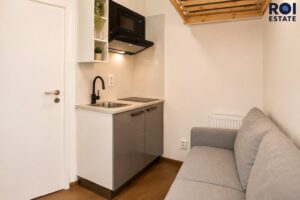 Pronájem bytu 1+kk 10 m², Hostivice