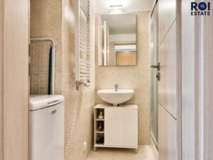Pronájem bytu 1+kk 31 m², Praha – Žižkov