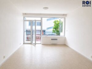 Pronájem bytu 1+kk, 41m² na ulici Vídeňská 18b
