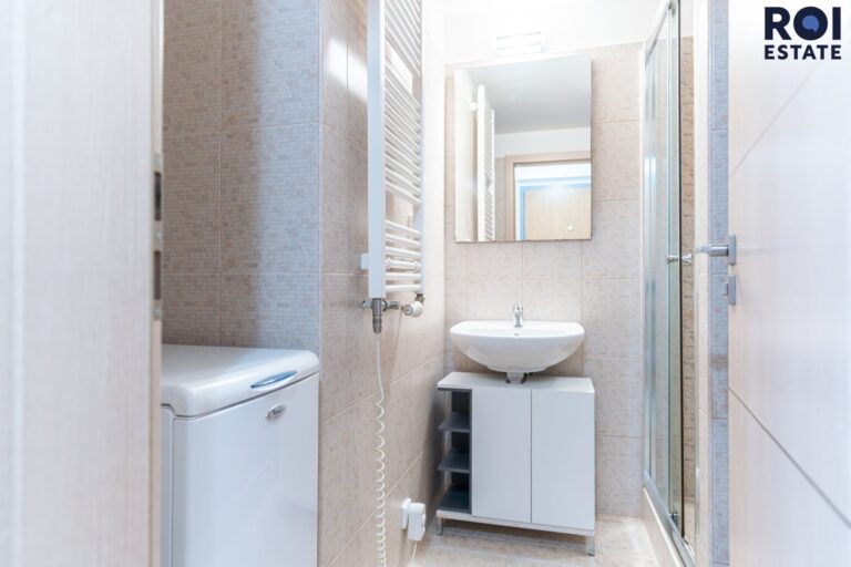 Pronájem bytu 1+kk 31 m², Praha – Žižkov
