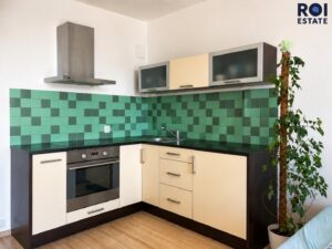 Pronájem bytu 1+kk 31 m², Praha – Žižkov