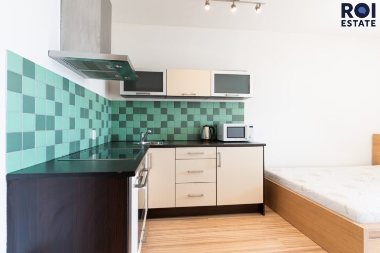 Pronájem bytu 1+kk 31 m², Praha – Žižkov