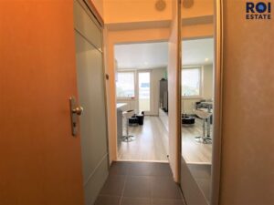 Slunný byt 1+kk s balkonem, k podnájmu 20m², Brno – Líšeň