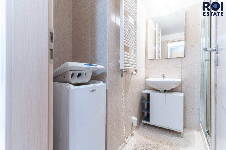 Pronájem bytu 1+kk 31 m², Praha – Žižkov