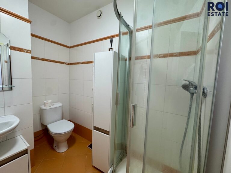 Pronájem bytu 2+kk 46 m², Praha – Ruzyně