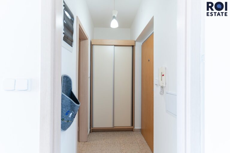 Pronájem bytu 1+kk 31 m², Praha – Žižkov