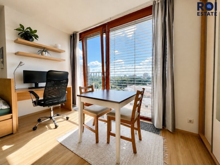Pronájem bytu 1+kk 31 m², Praha – Žižkov