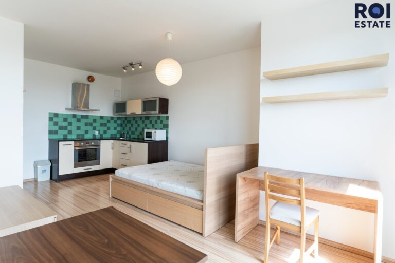 Pronájem bytu 1+kk 31 m², Praha – Žižkov
