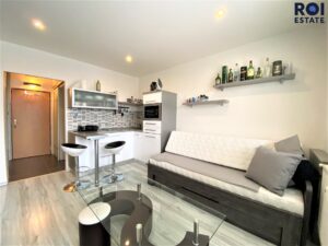 Slunný byt 1+kk s balkonem, k podnájmu 20m², Brno – Líšeň