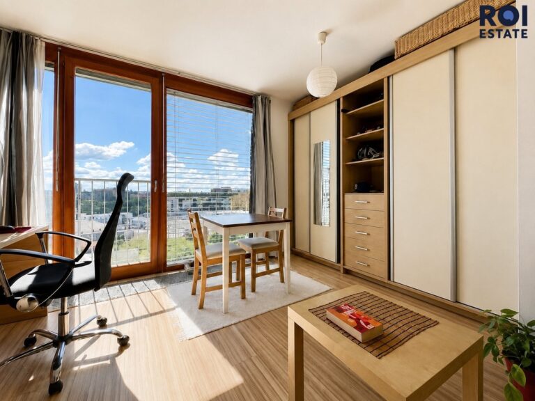 Pronájem bytu 1+kk 31 m², Praha – Žižkov