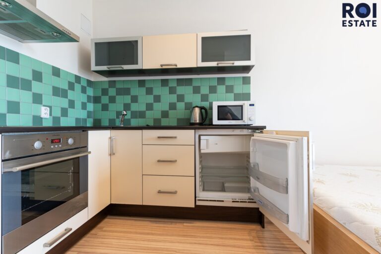 Pronájem bytu 1+kk 31 m², Praha – Žižkov