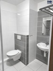 Pronájem bytu 1+kk, 41m² na ulici Vídeňská 18b