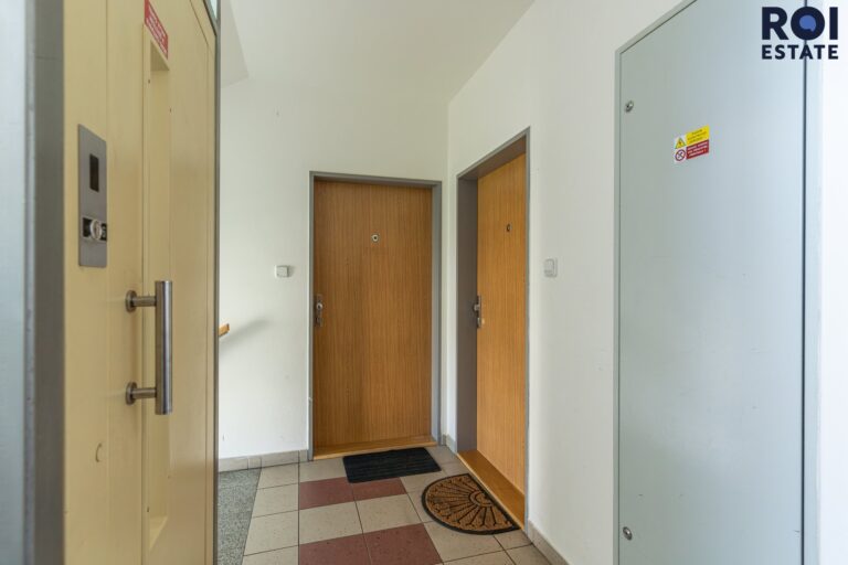 Pronájem bytu 1+kk 31 m², Praha – Žižkov