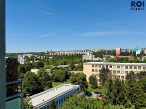Pronájem velmi světlého a prostorného bytu 3+1 s balkonem a sklepem 77 m², Brno – Černá Pole