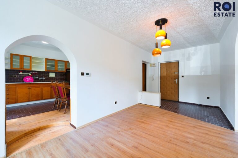 Prodej  prostorného a světlého bytu 1+ 1, 54 m², Blansko