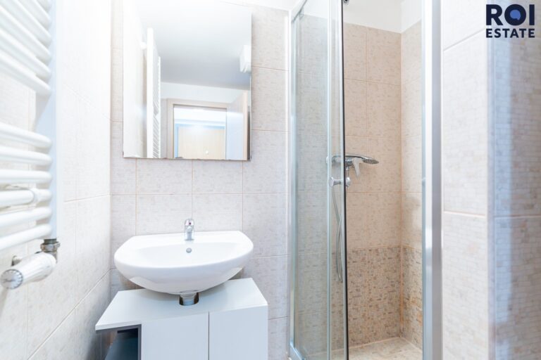 Pronájem bytu 1+kk 31 m², Praha – Žižkov
